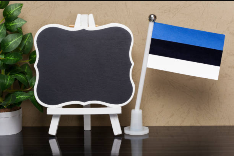 list and profiles of the best 10 Fully Funded Scholarships in Estonia For International Students